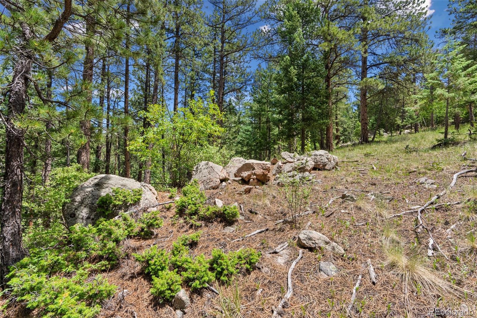 135 Linda Trail