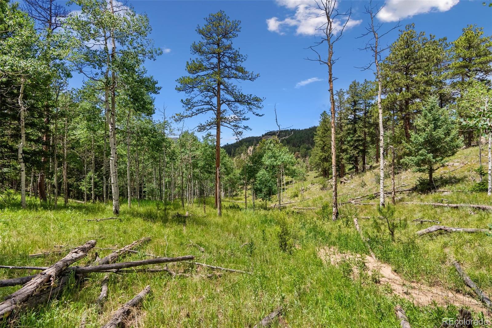 135 Linda Trail