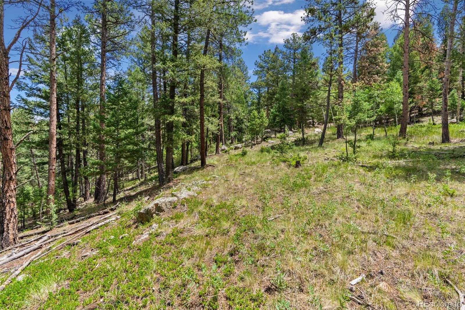 135 Linda Trail