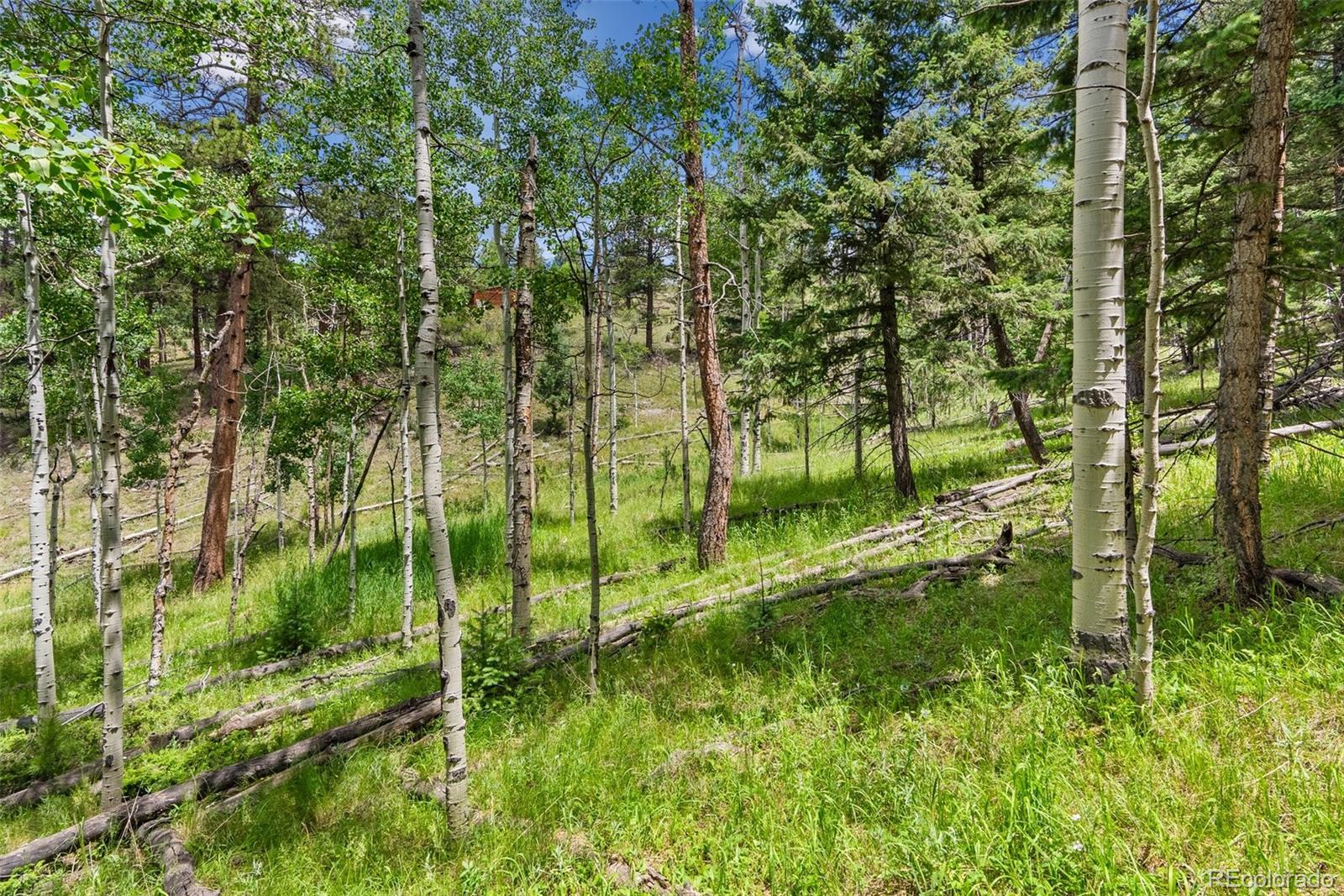 135 Linda Trail