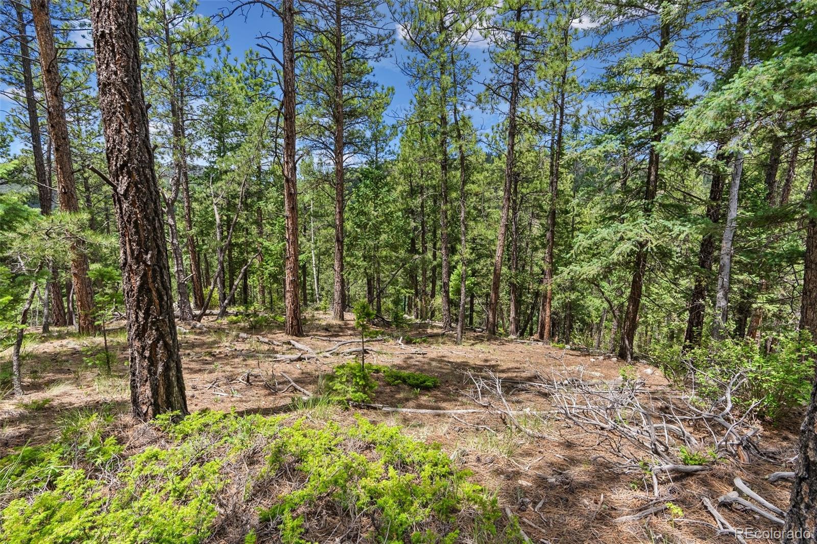 135 Linda Trail