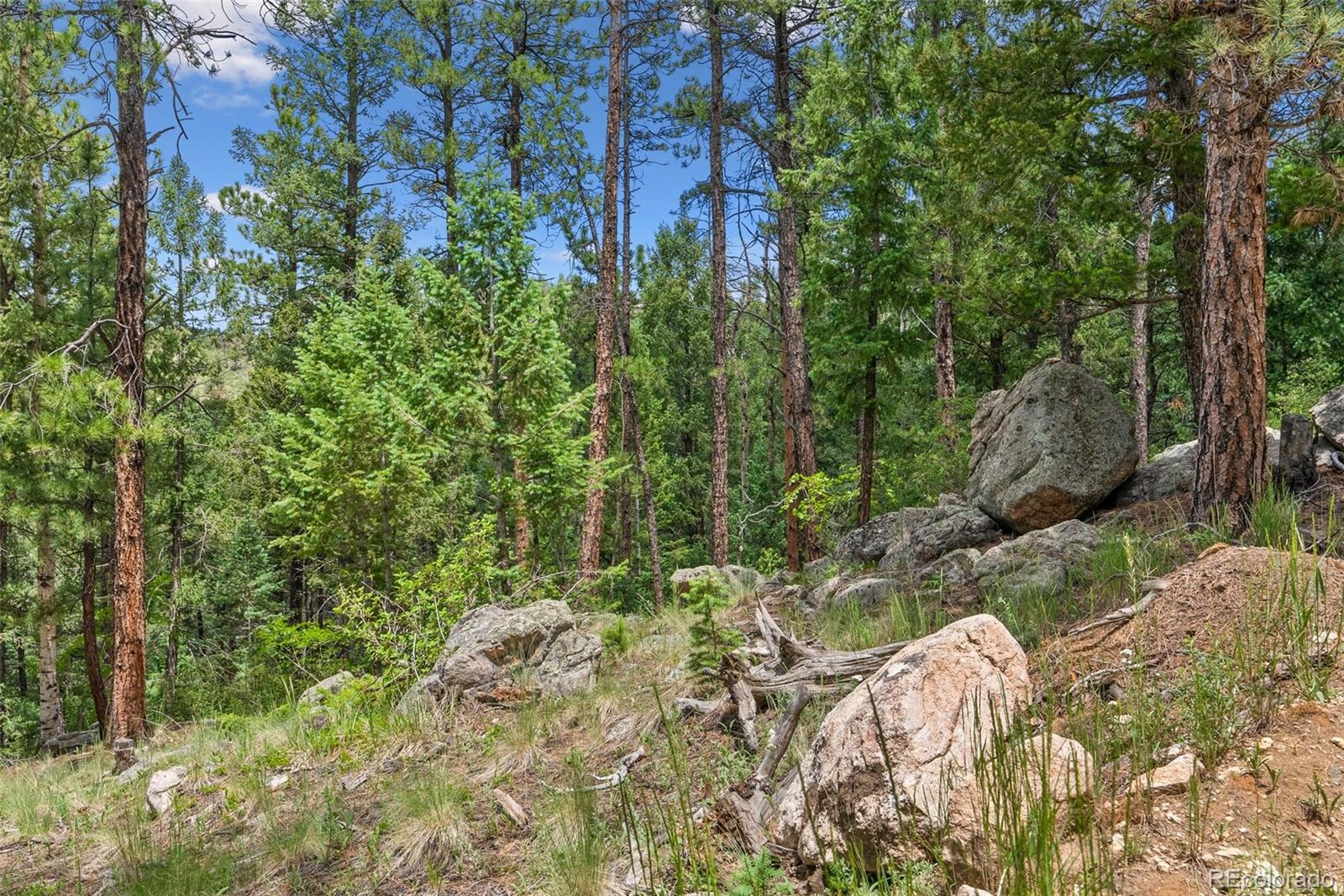 135 Linda Trail