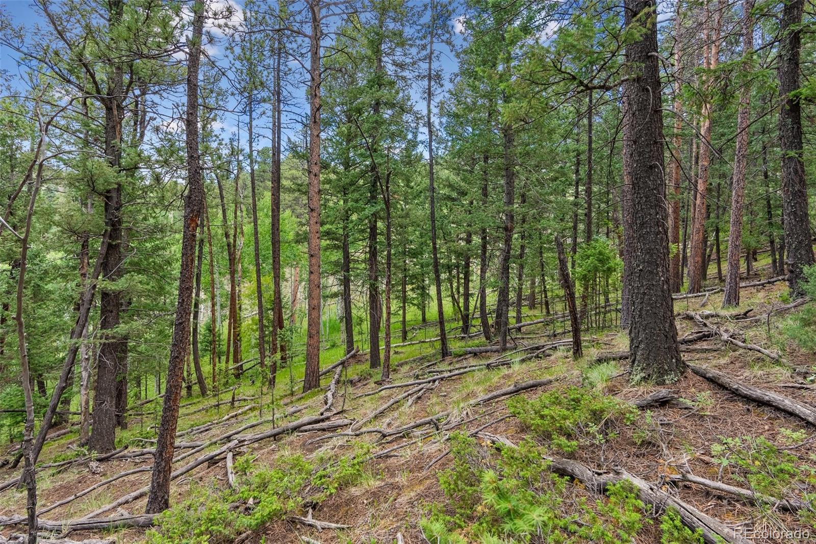 135 Linda Trail