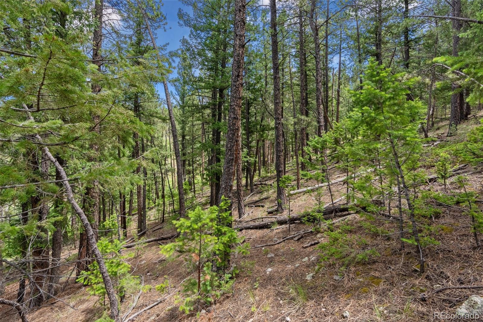 135 Linda Trail