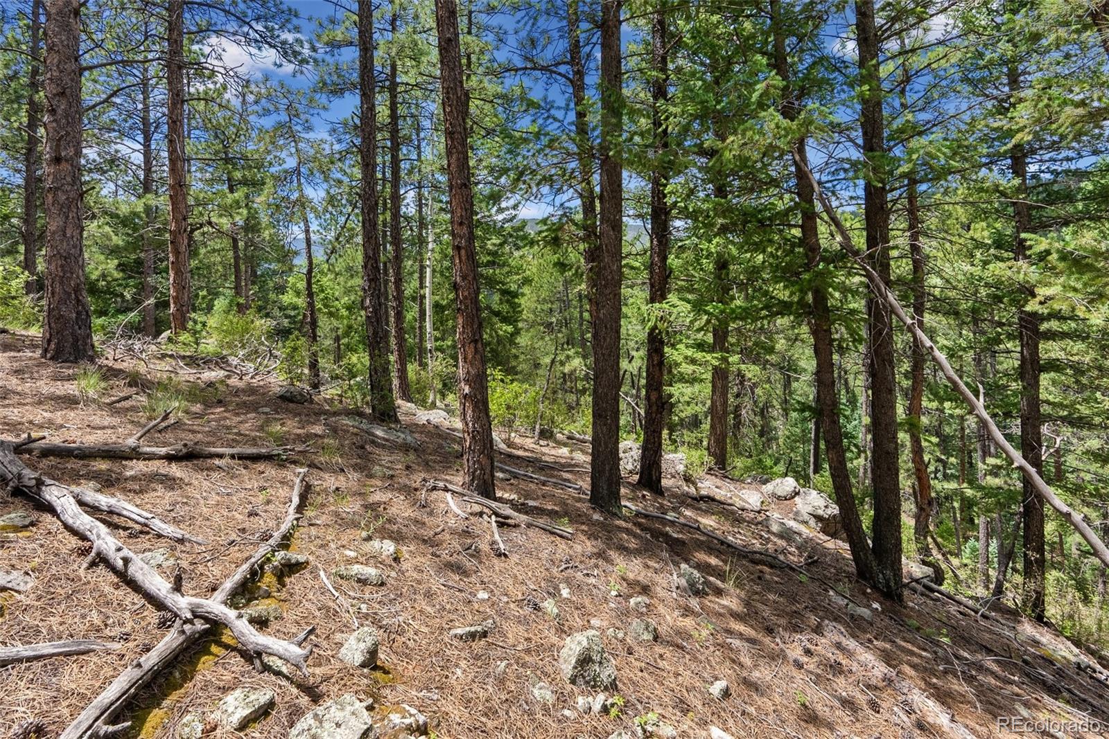 135 Linda Trail