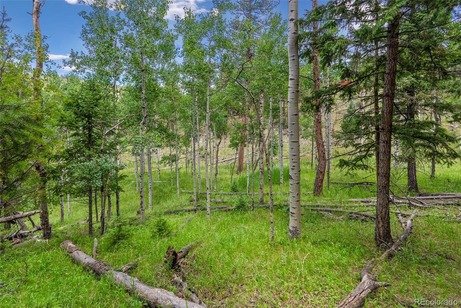 135 Linda Trail