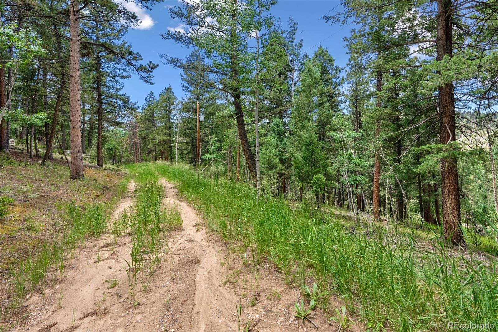 135 Linda Trail