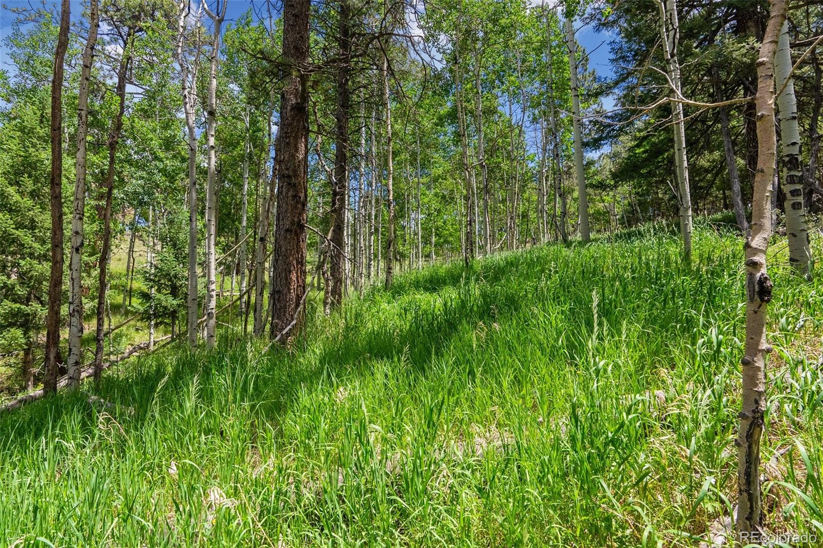 135 Linda Trail