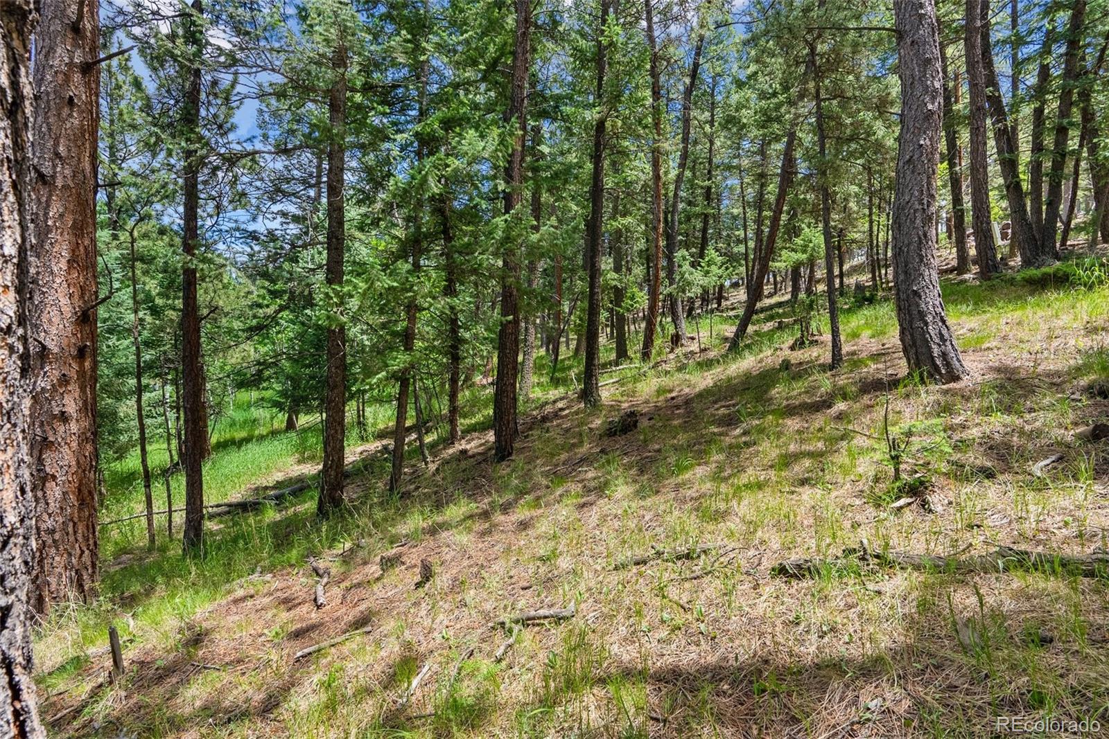 135 Linda Trail