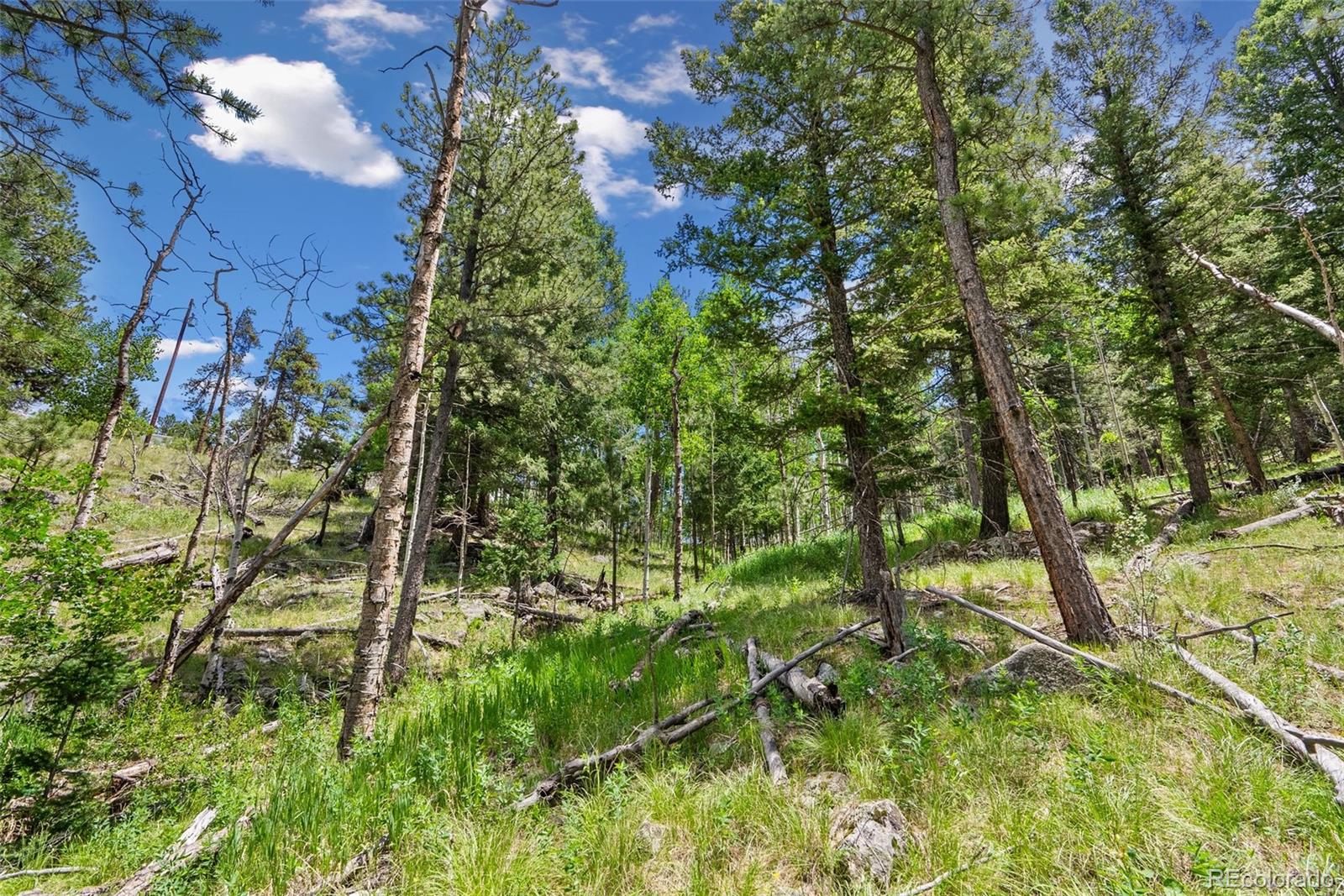 135 Linda Trail