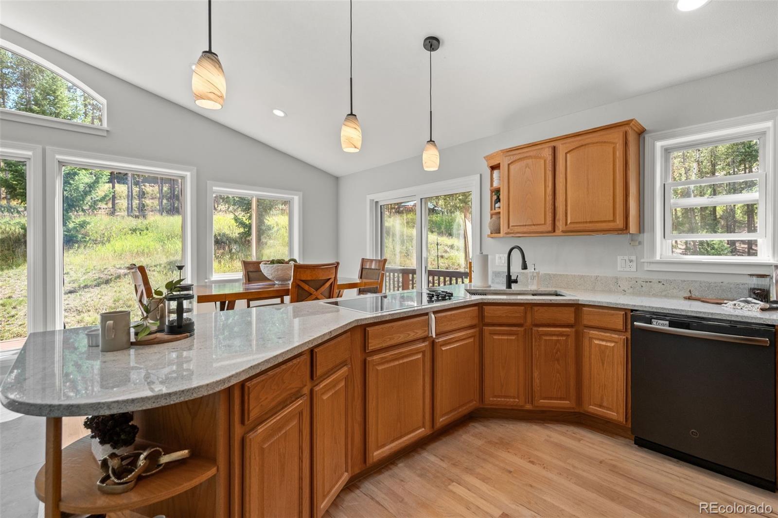 9039 Black Mountain Drive