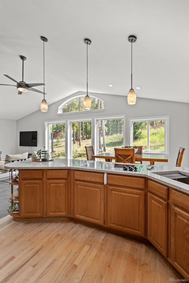 9039 Black Mountain Drive