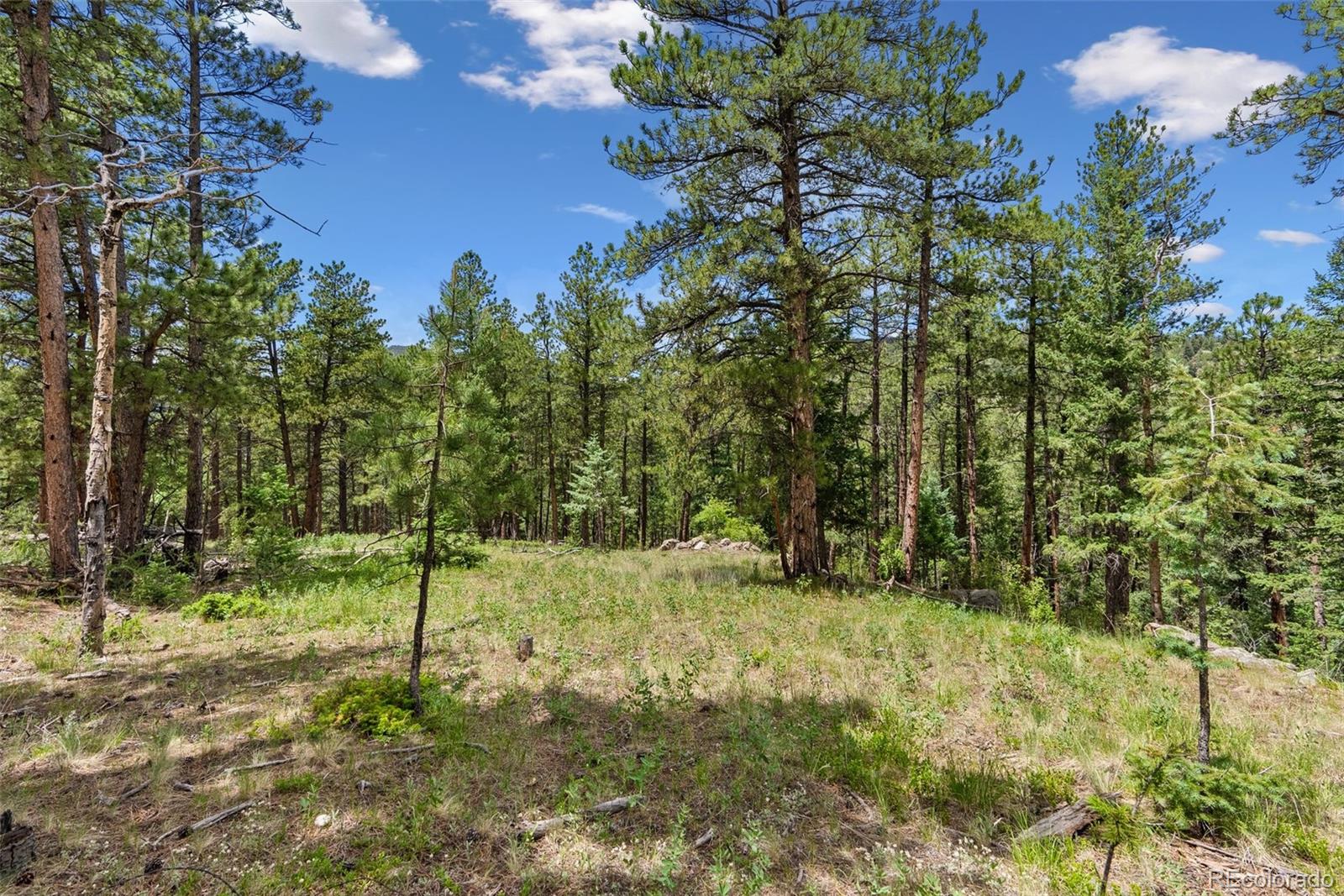 135 Linda Trail