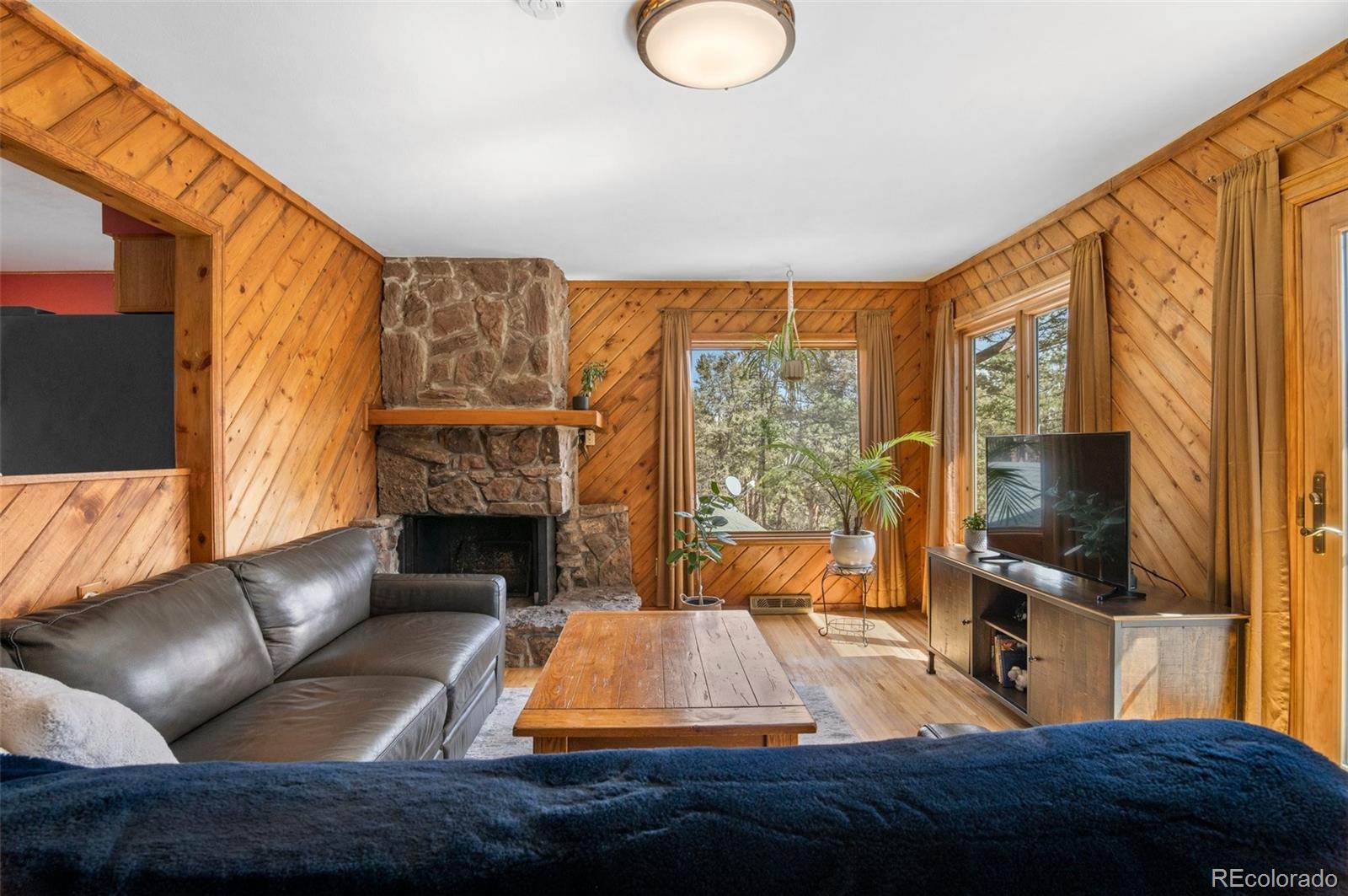27231 Log Trail