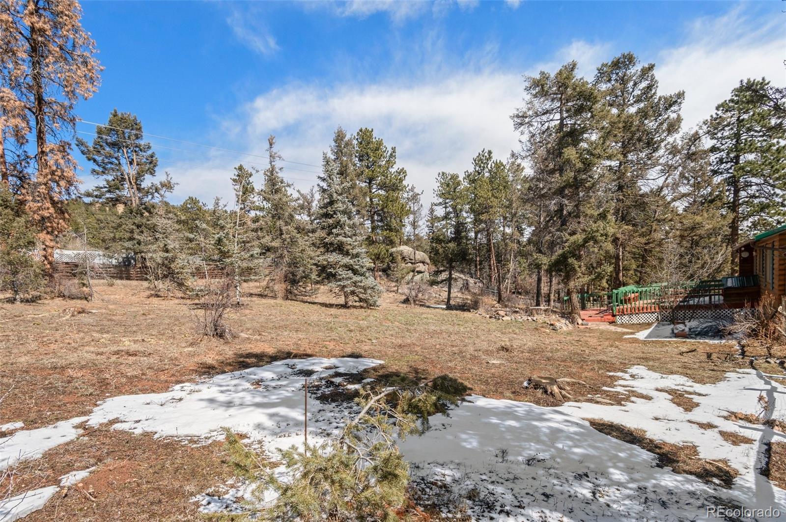 27231 Log Trail