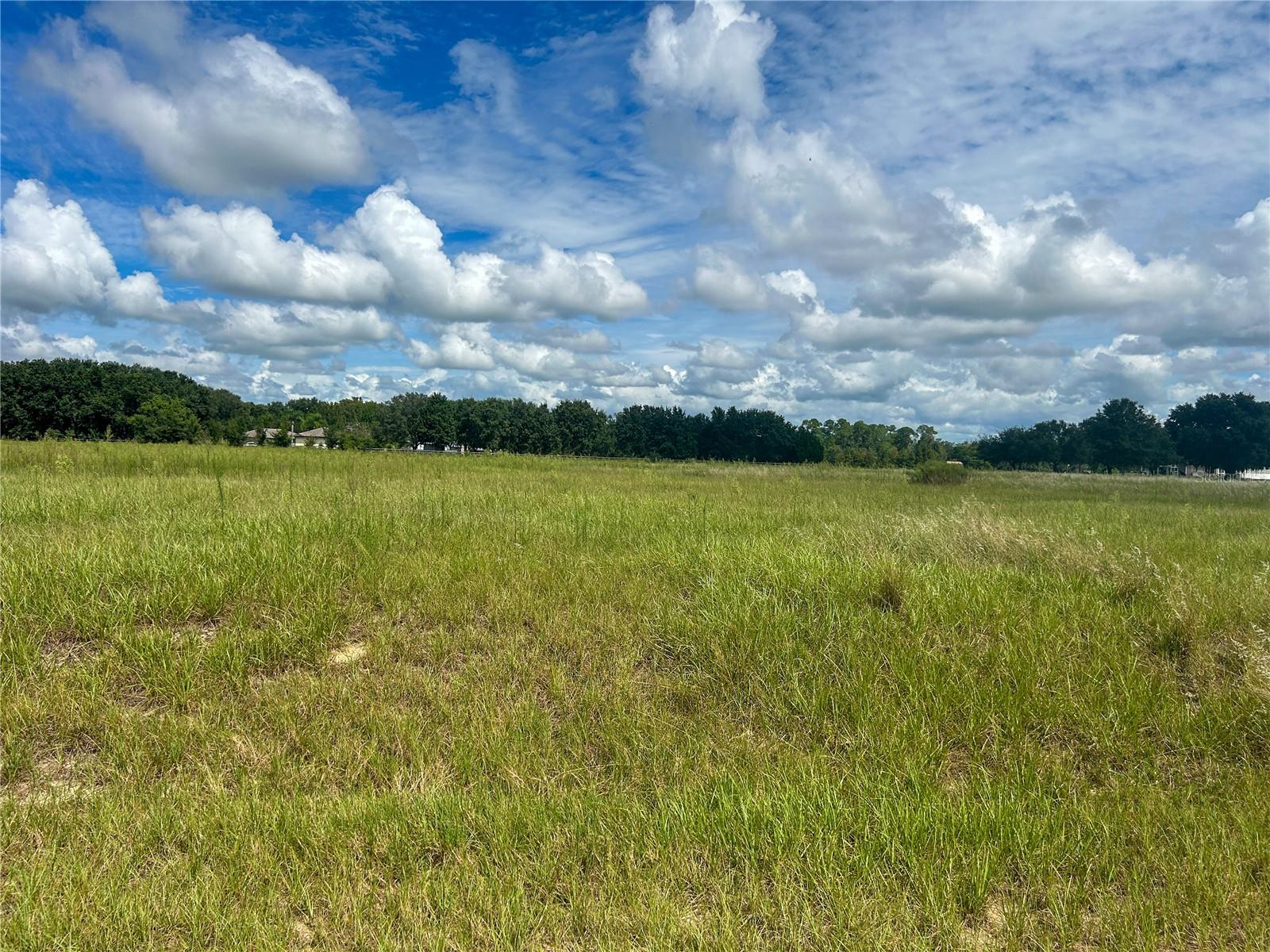 INDIGO RD