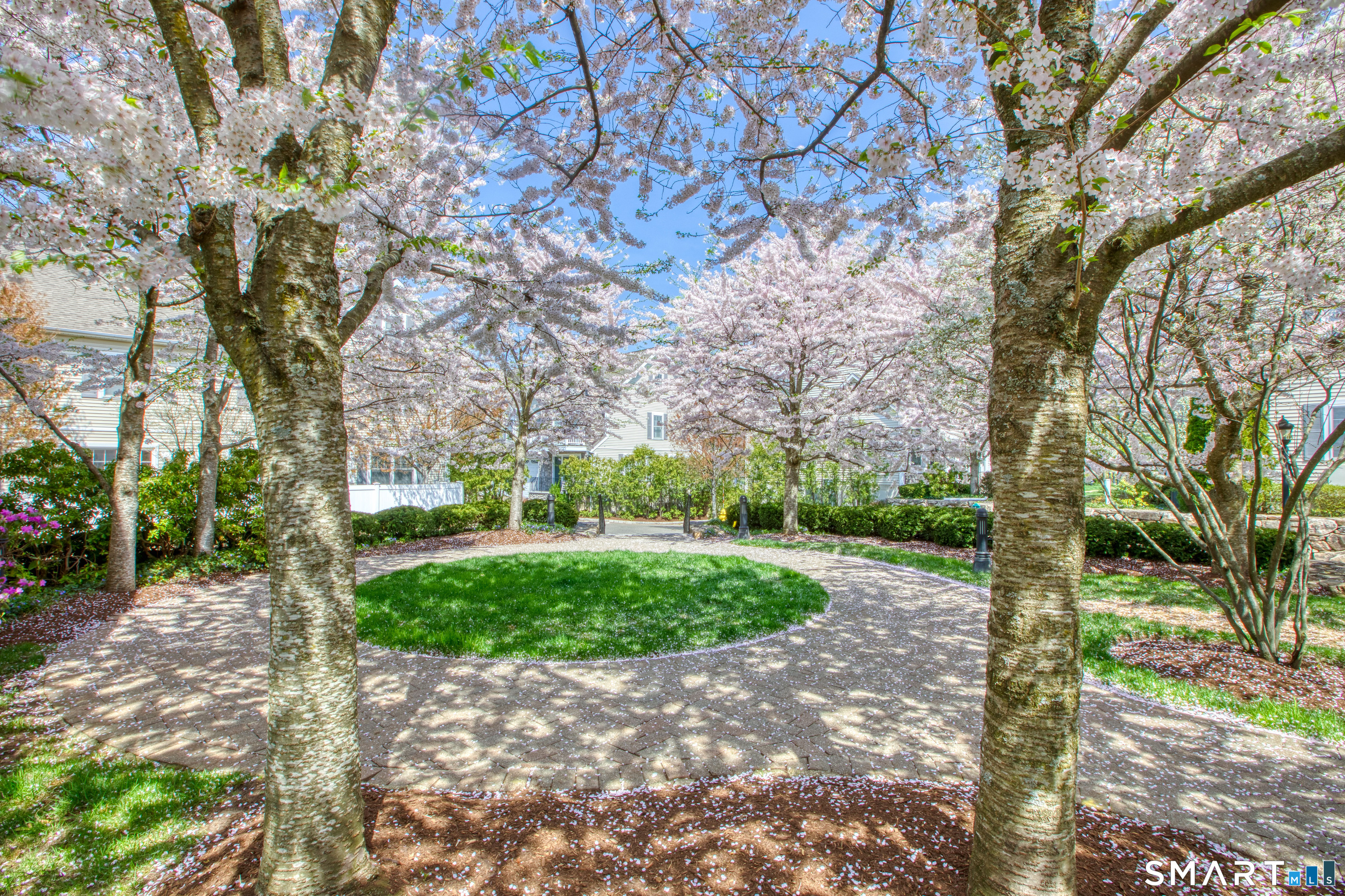 39 Maple Tree Avenue 40