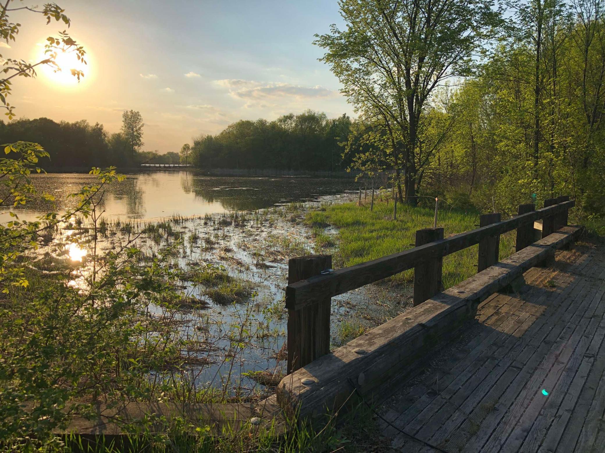 981 Peninsula Point Road