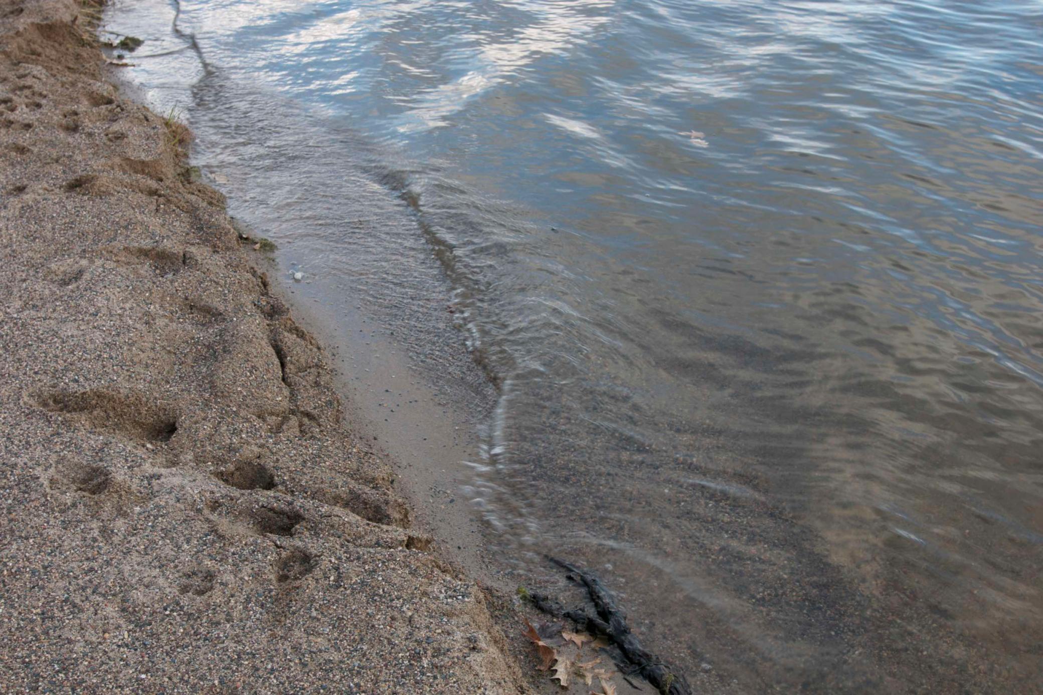 981 Peninsula Point Road