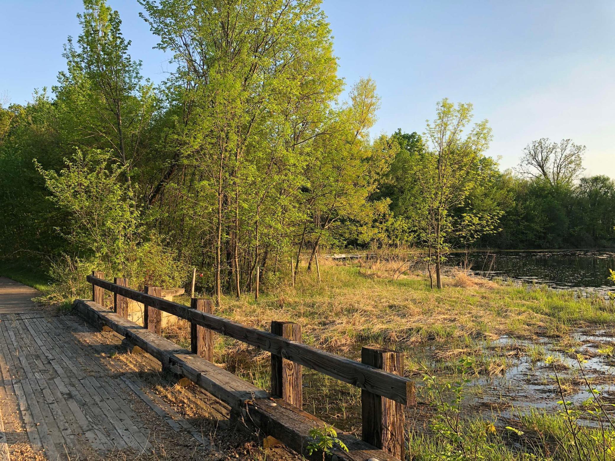 981 Peninsula Point Road