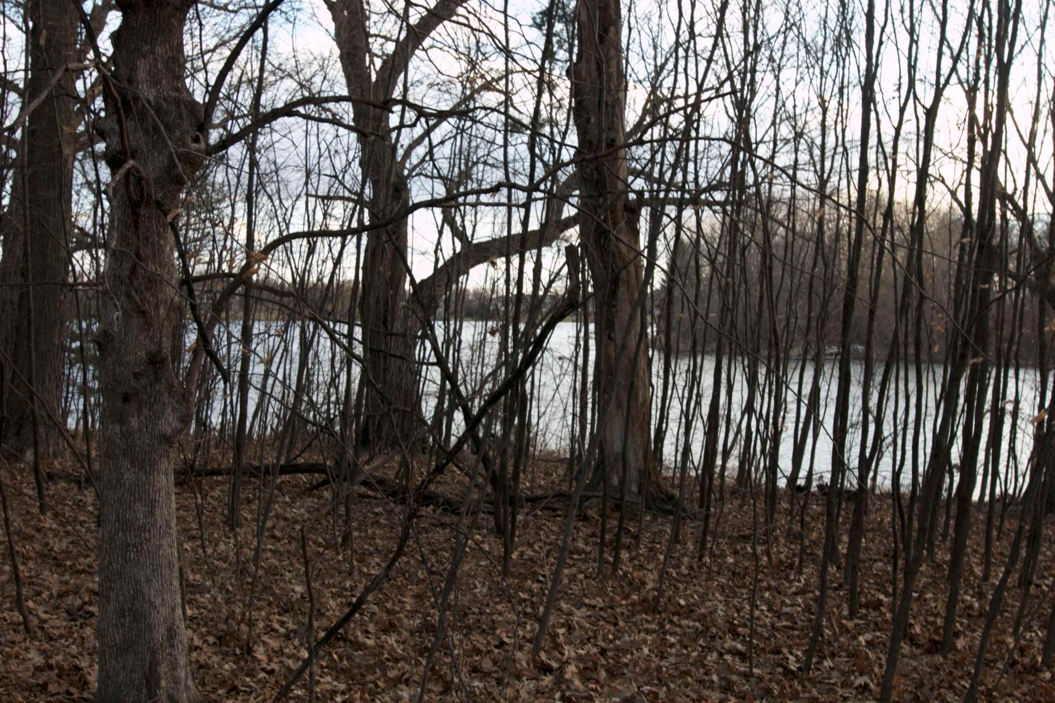 981 Peninsula Point Road