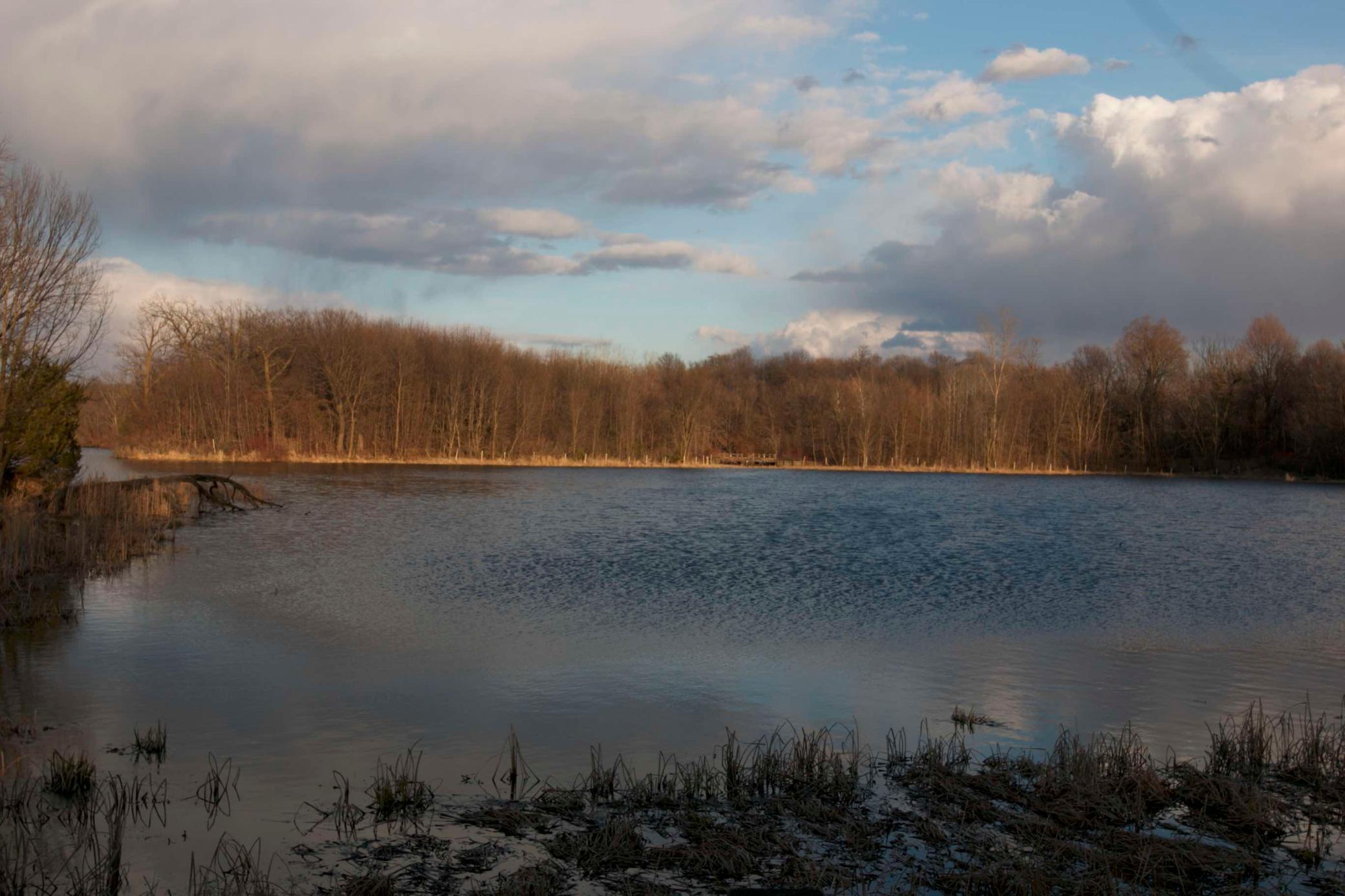 981 Peninsula Point Road