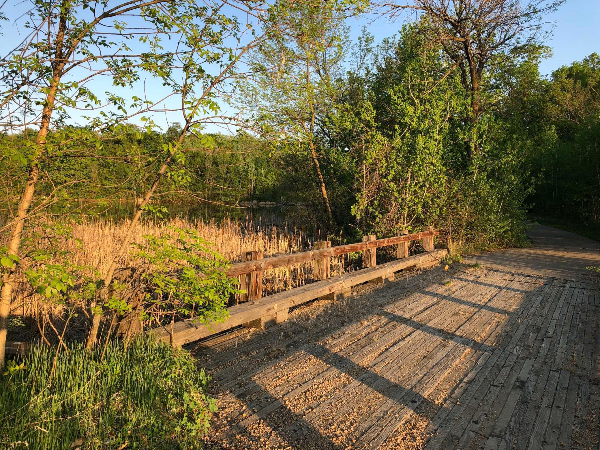 981 Peninsula Point Road