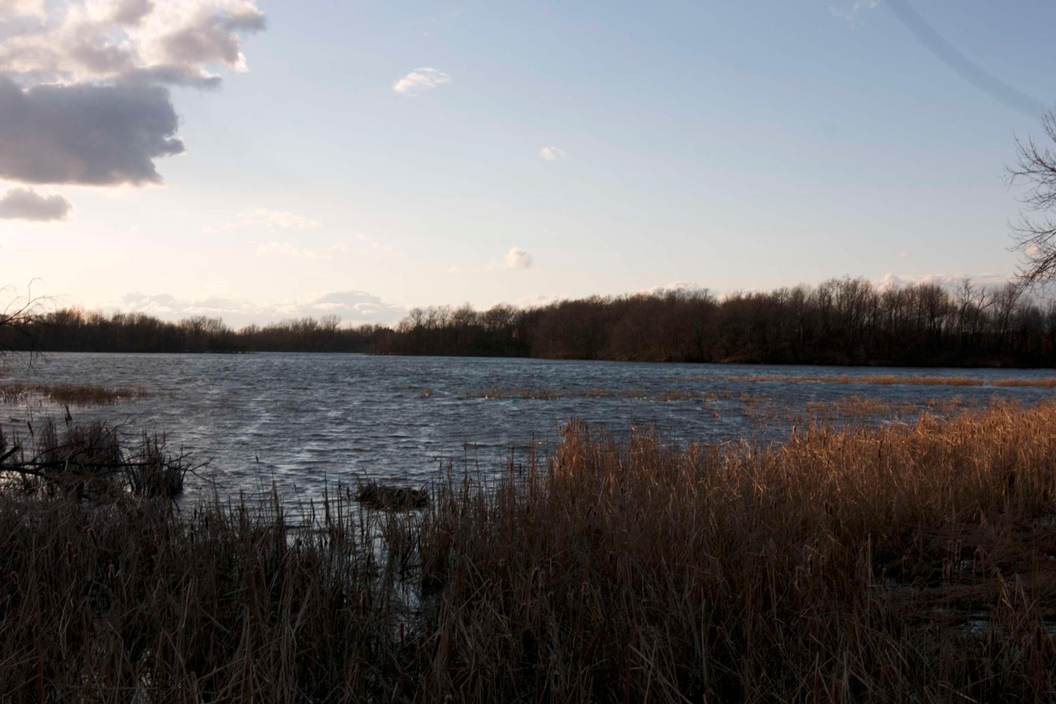 981 Peninsula Point Road