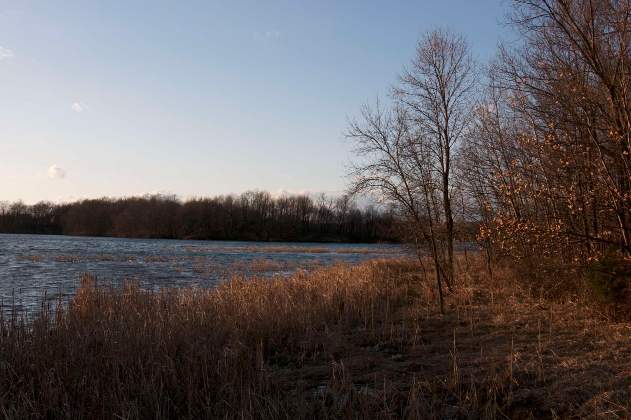 981 Peninsula Point Road