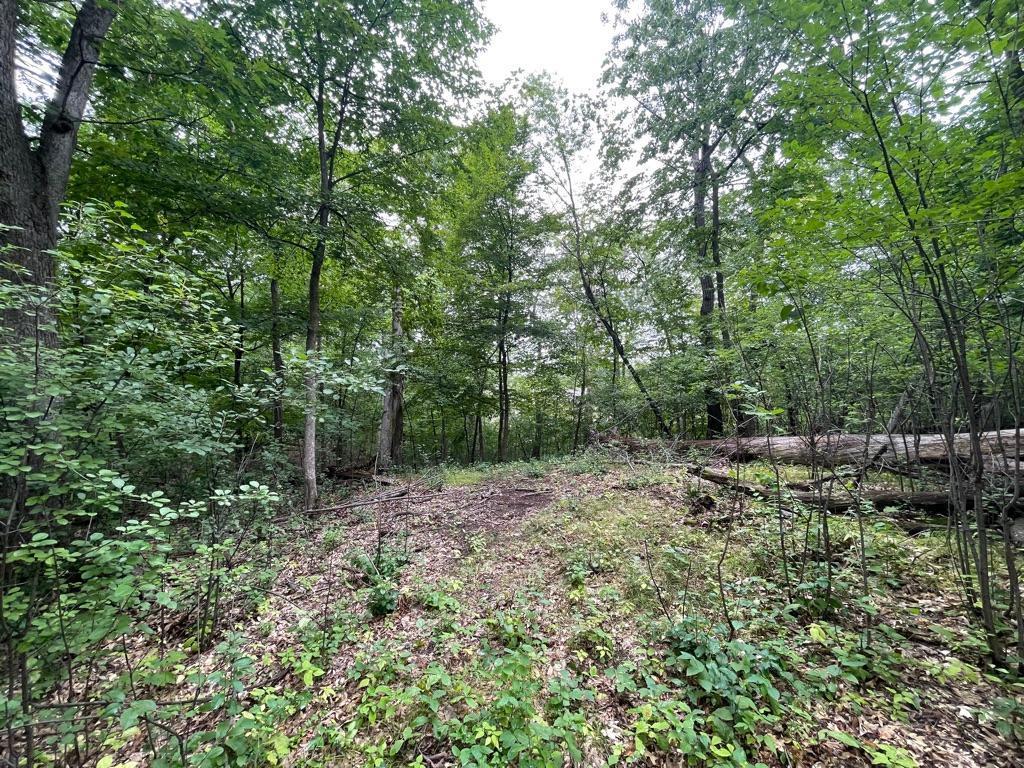 11919 Live Oak Drive