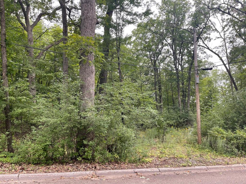11919 Live Oak Drive