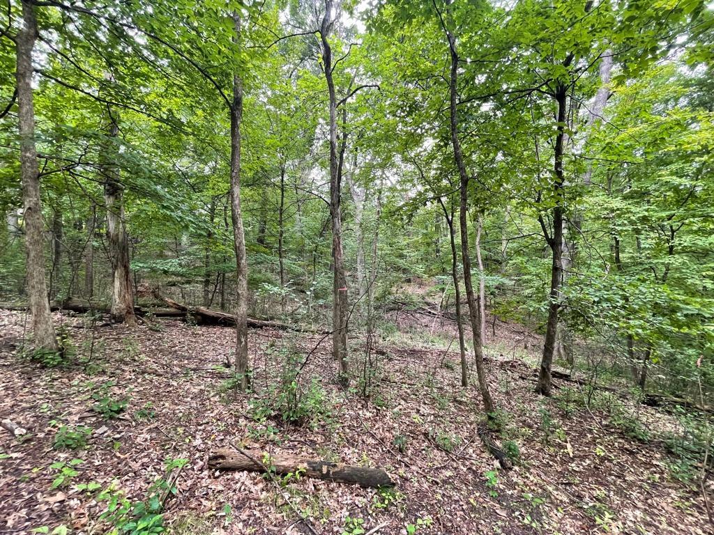 11919 Live Oak Drive