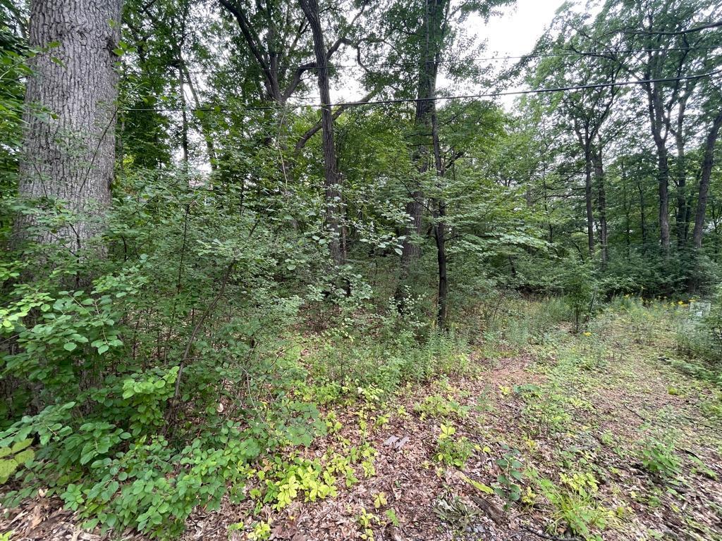11919 Live Oak Drive