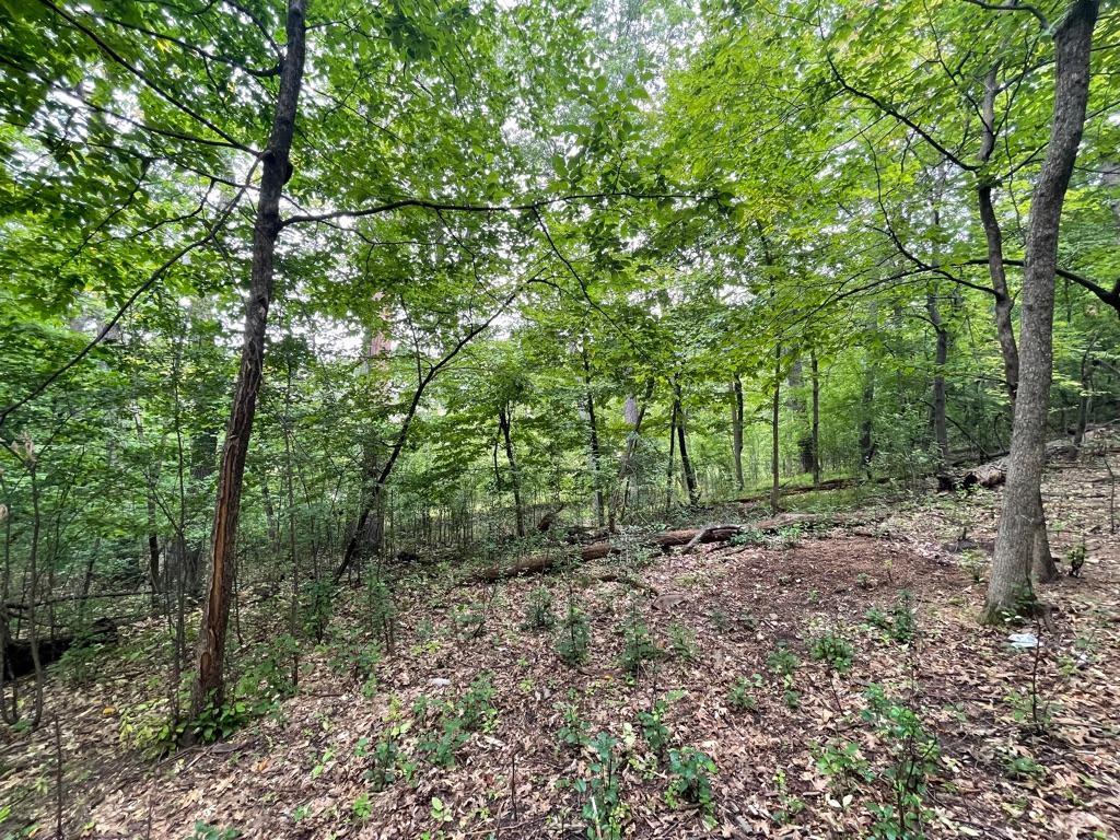 11919 Live Oak Drive