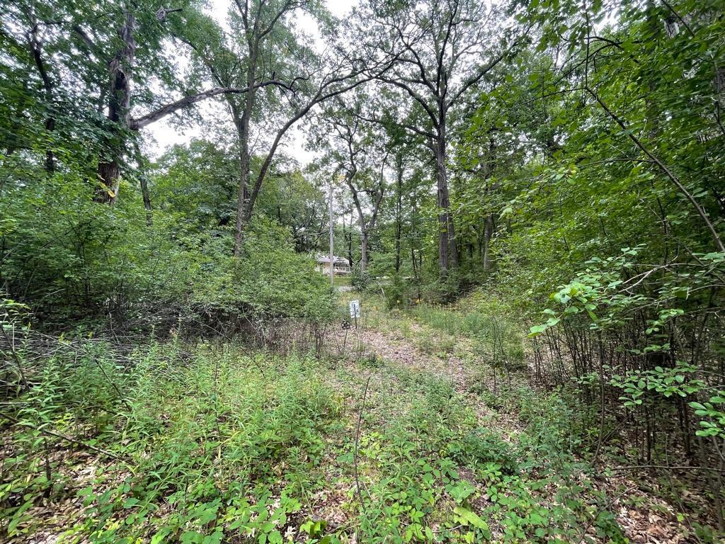 11919 Live Oak Drive