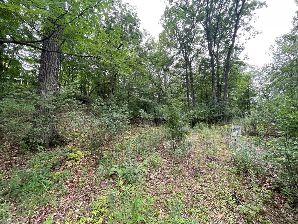 11919 Live Oak Drive