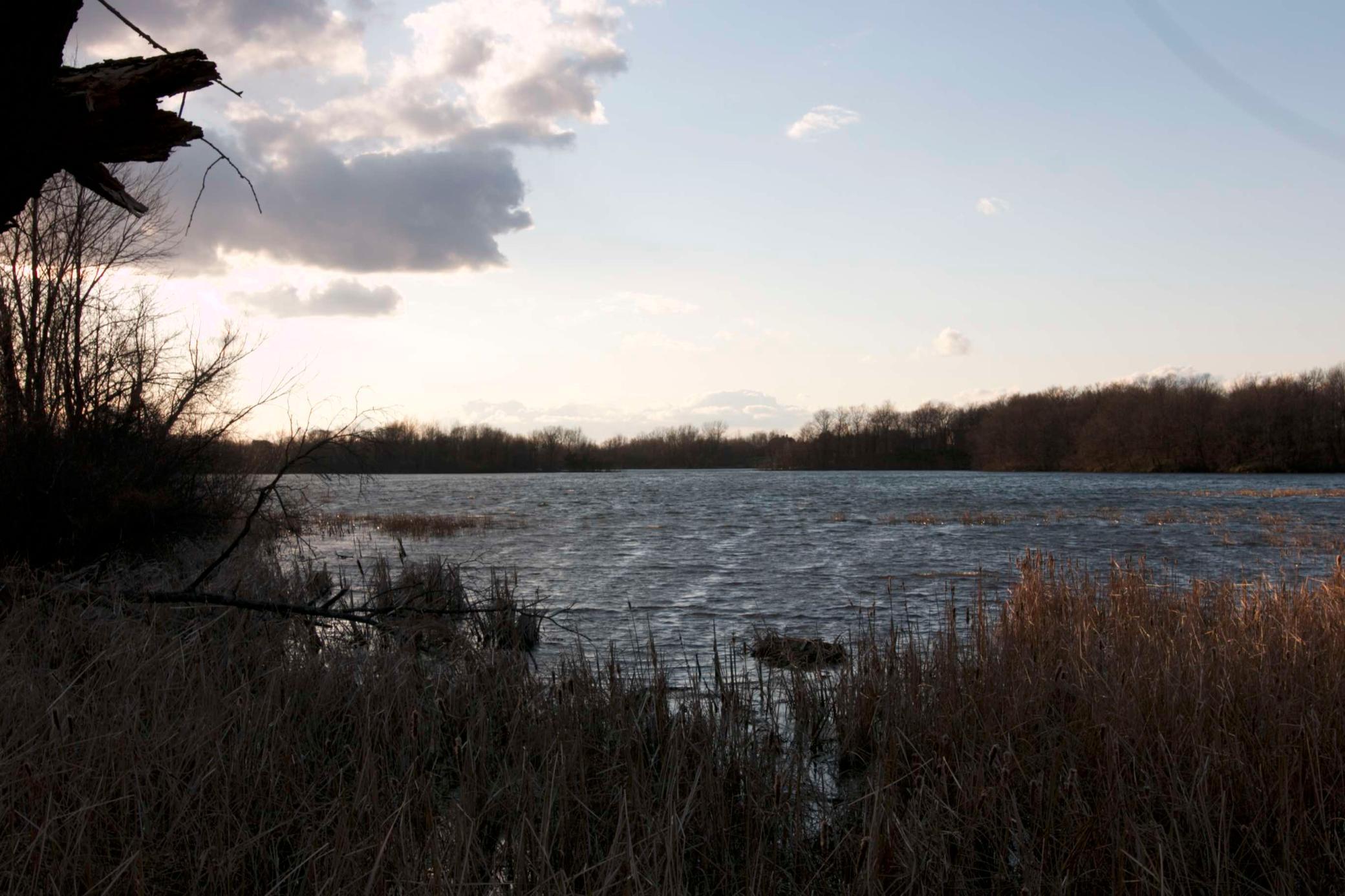 981 Peninsula Point Road