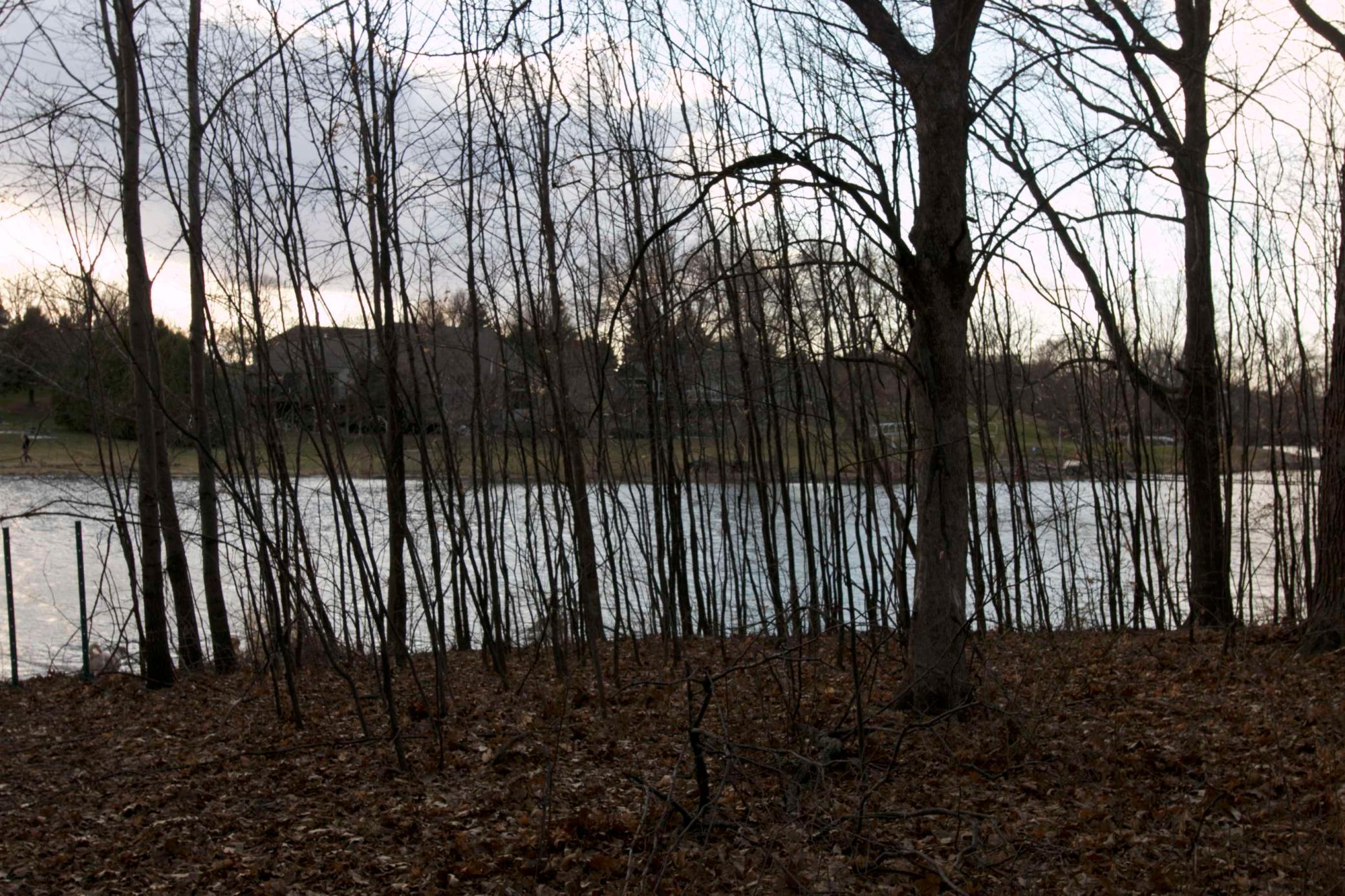 981 Peninsula Point Road