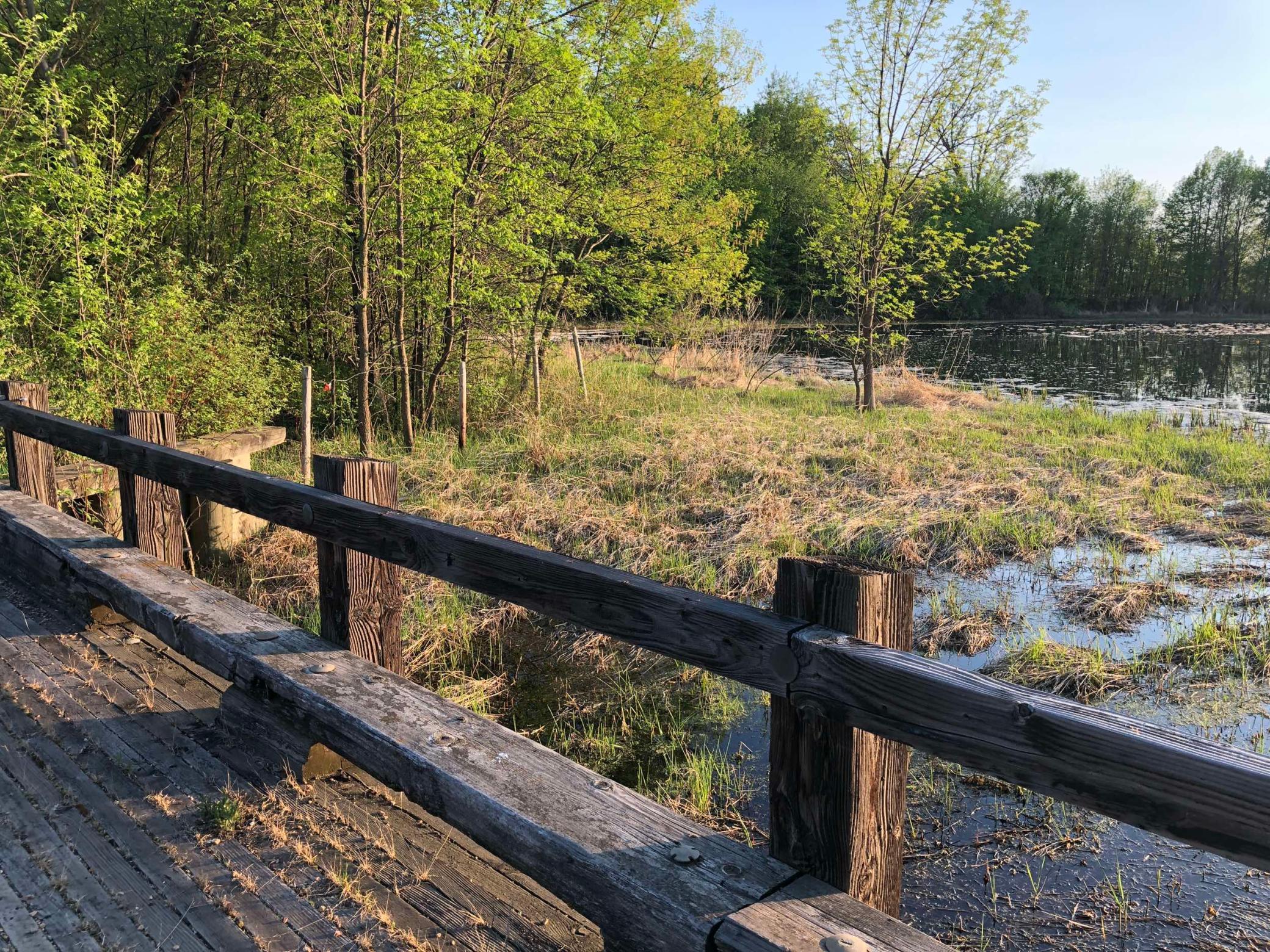 981 Peninsula Point Road