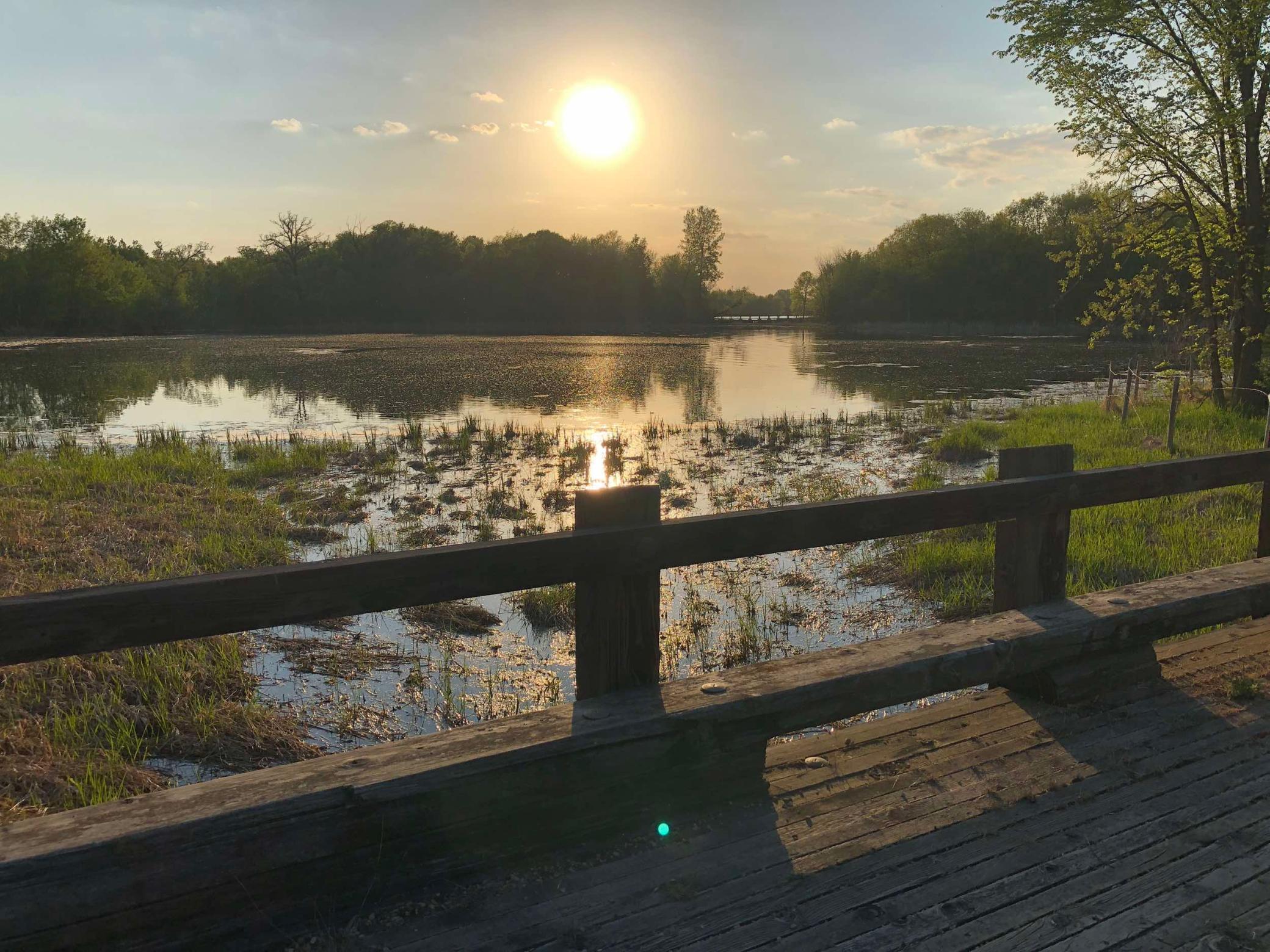 981 Peninsula Point Road