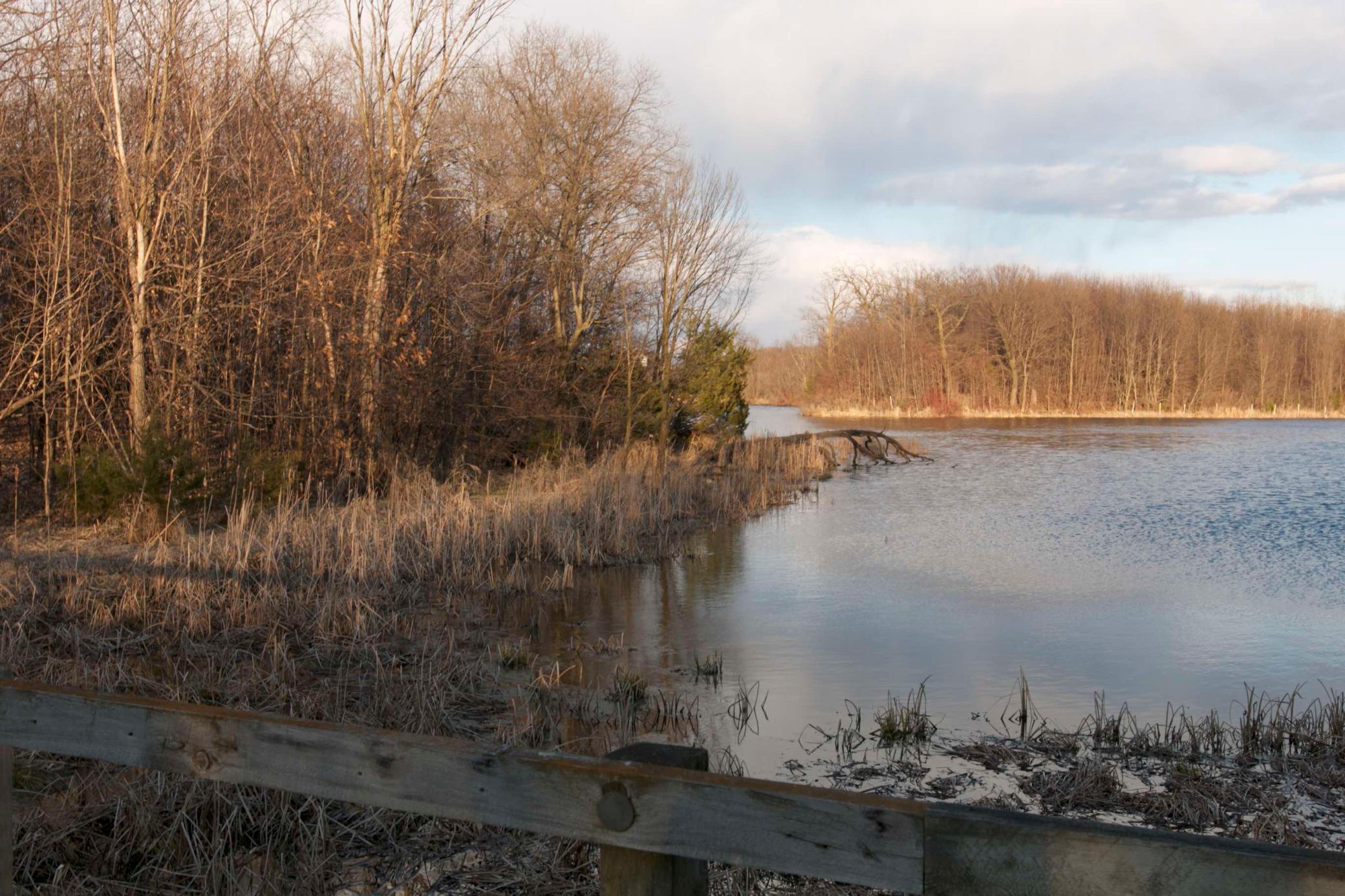 981 Peninsula Point Road