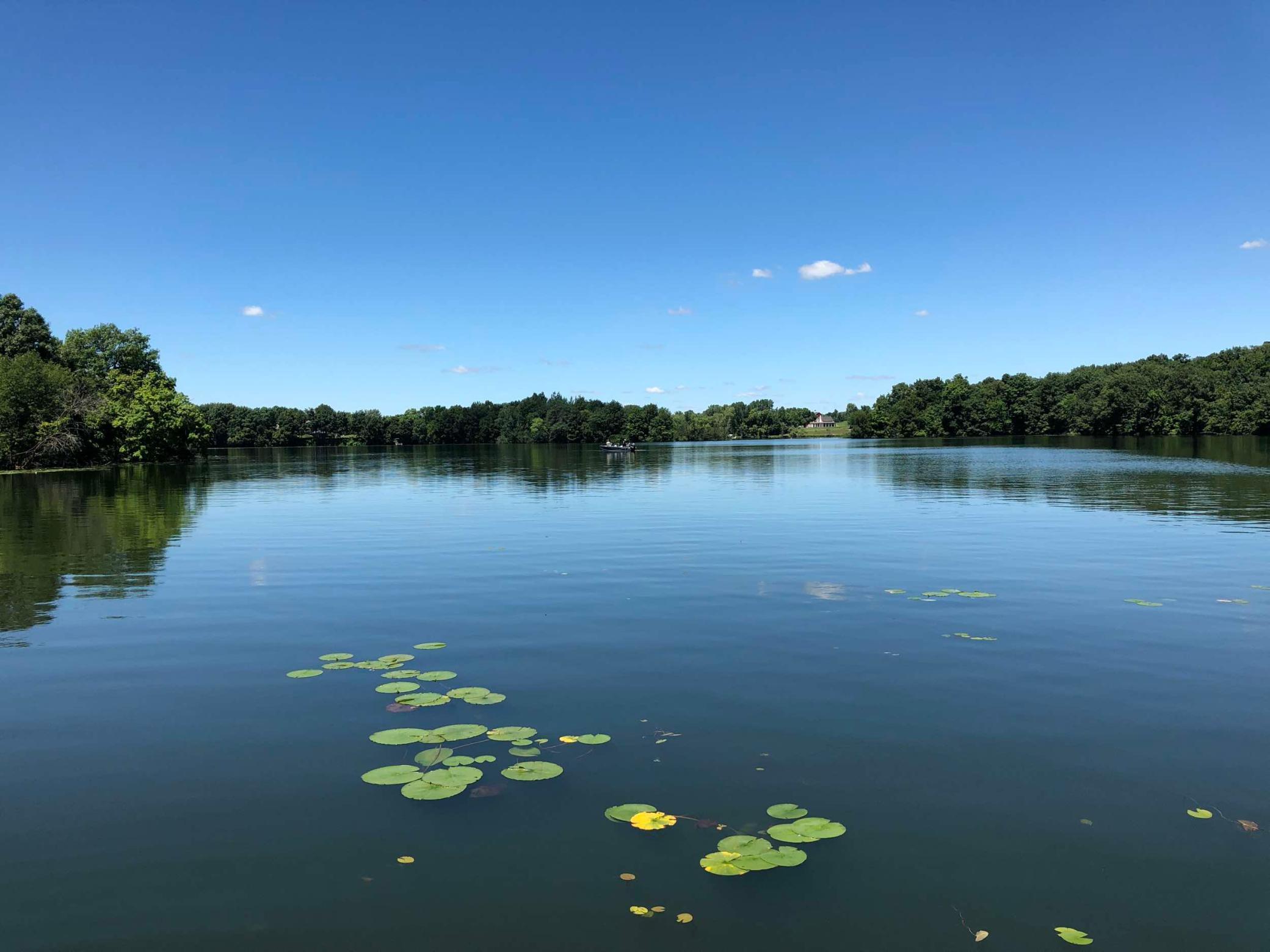 981 Peninsula Point Road