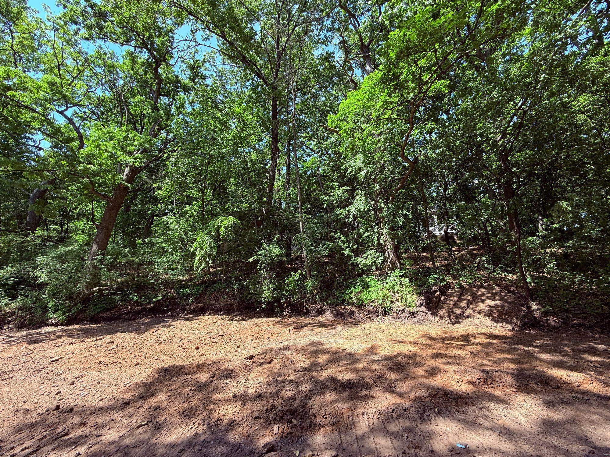 11800 Live Oak Dr