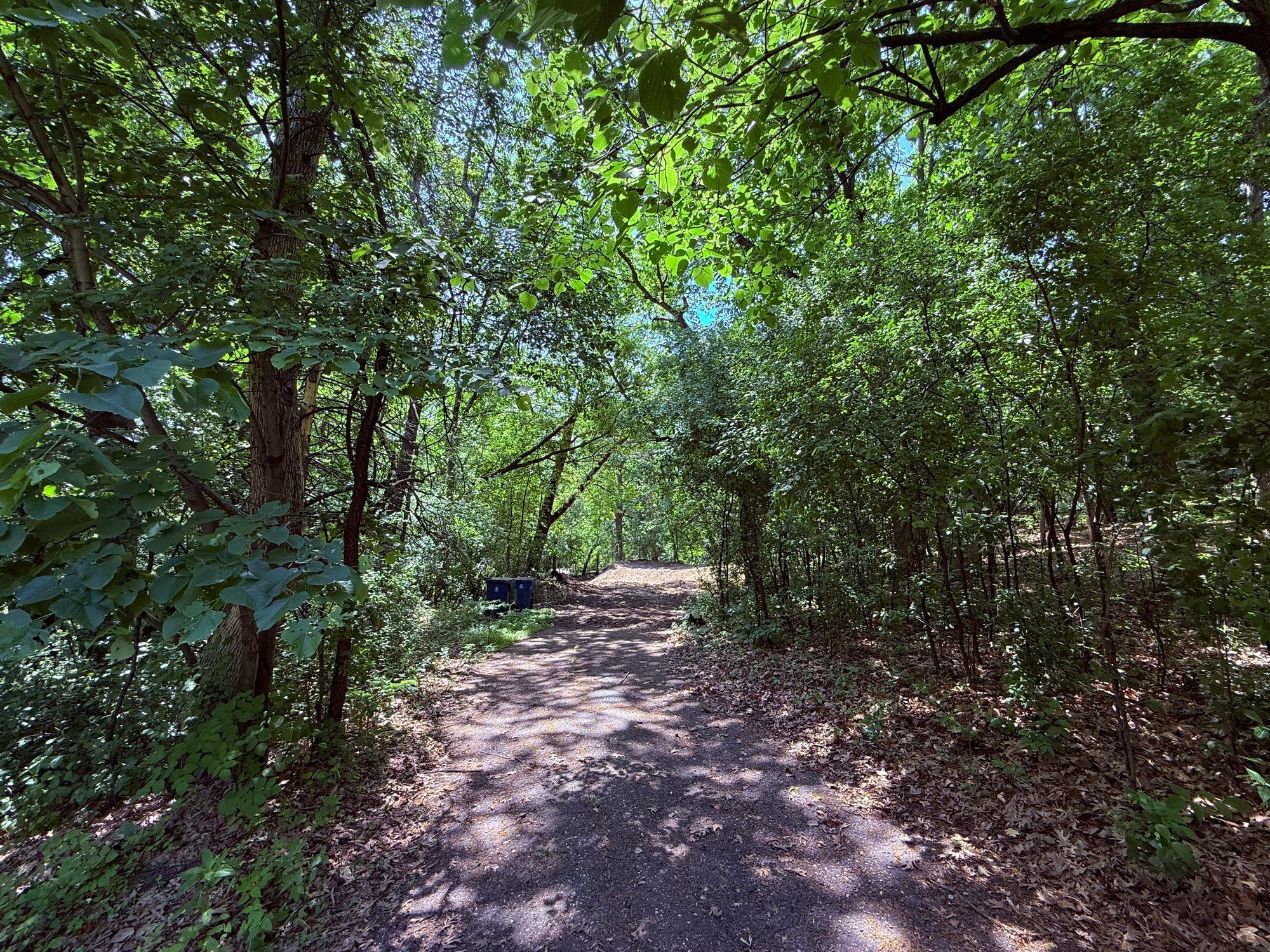 11800 Live Oak Dr