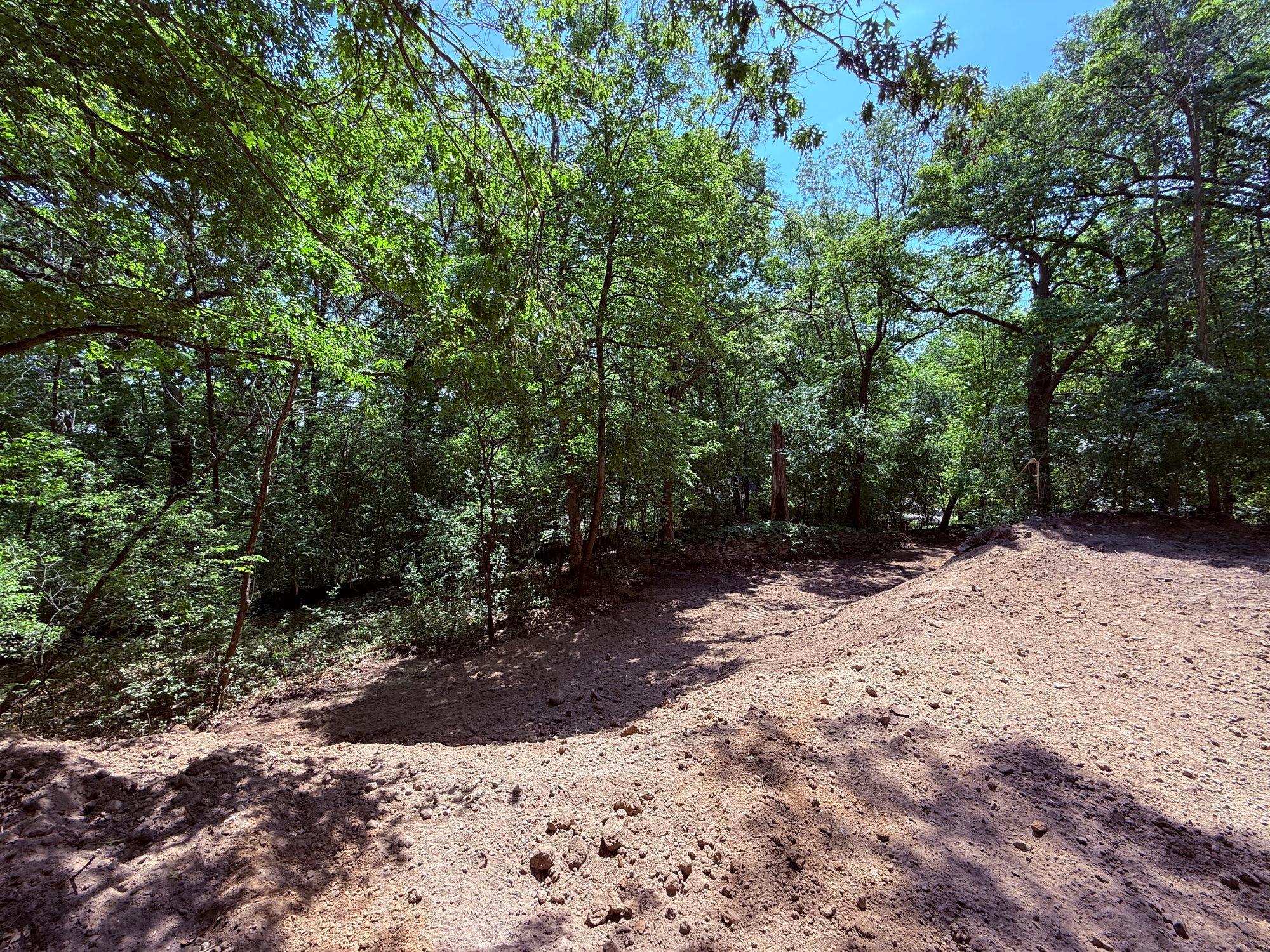 11800 Live Oak Dr