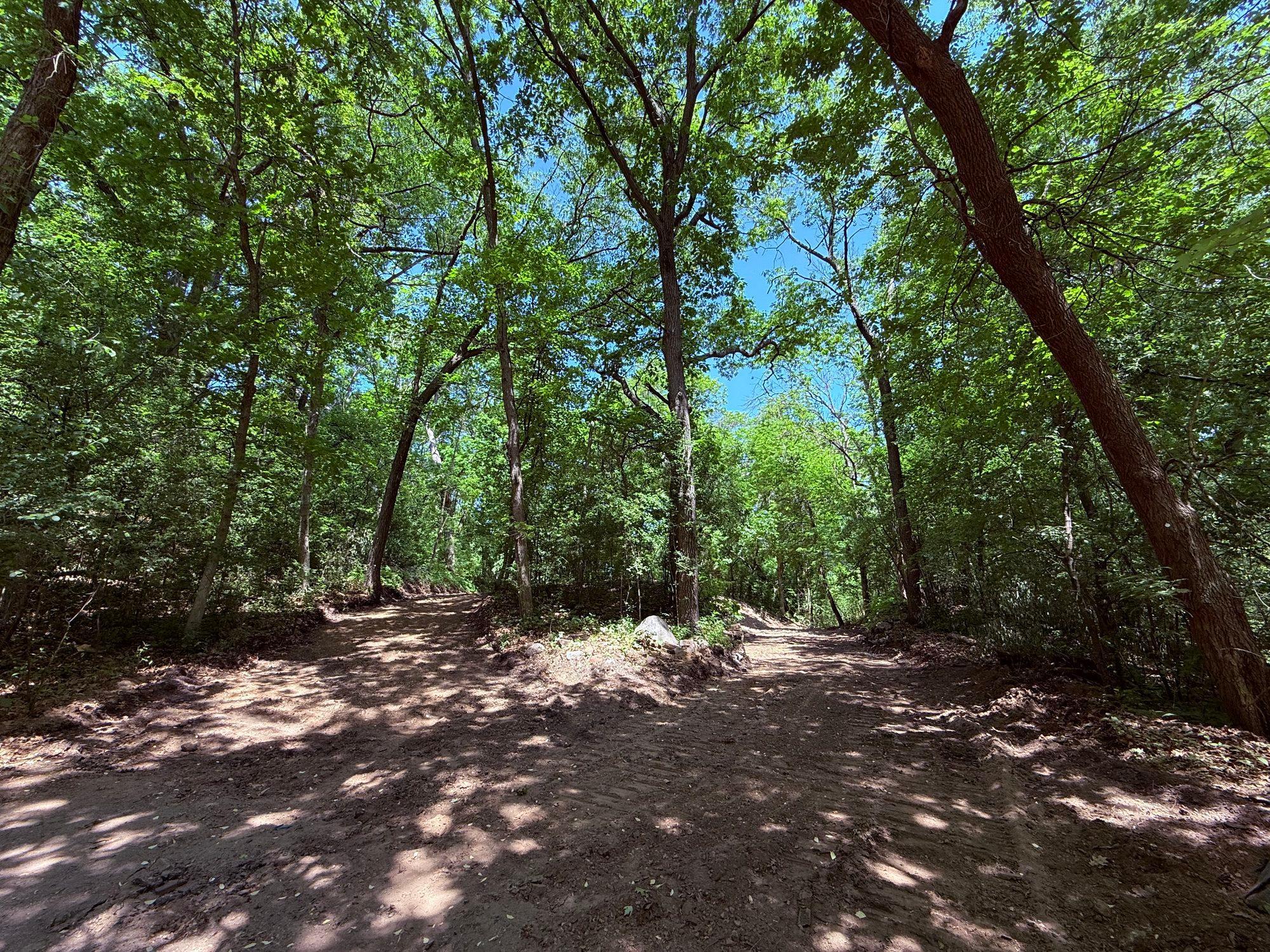 11800 Live Oak Dr