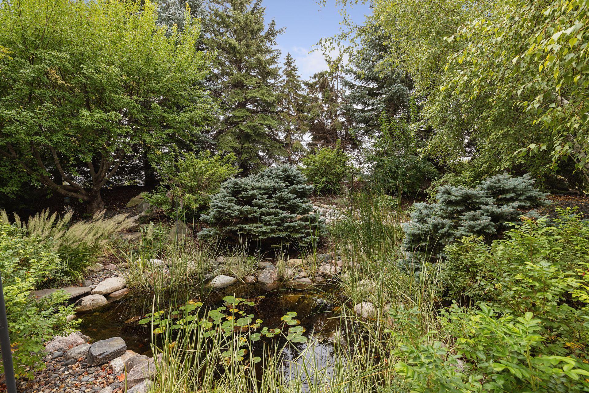 Landscaped garden pond edged with rocks and lily pads, surrounded by ornamental grasses and mature trees.