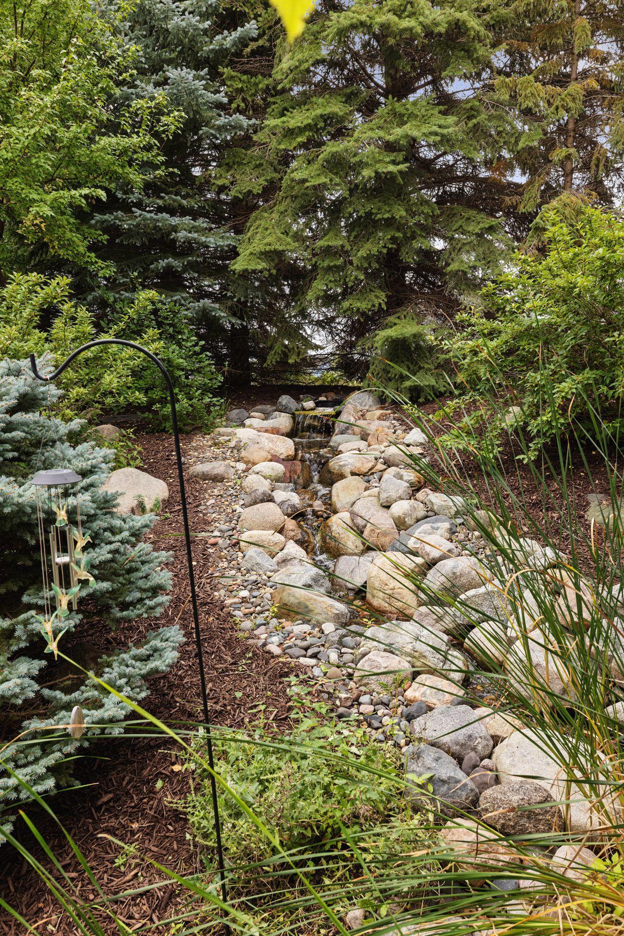 Rock-lined garden stream beneath evergreen trees, bordered by dense foliage and ornamental grasses.