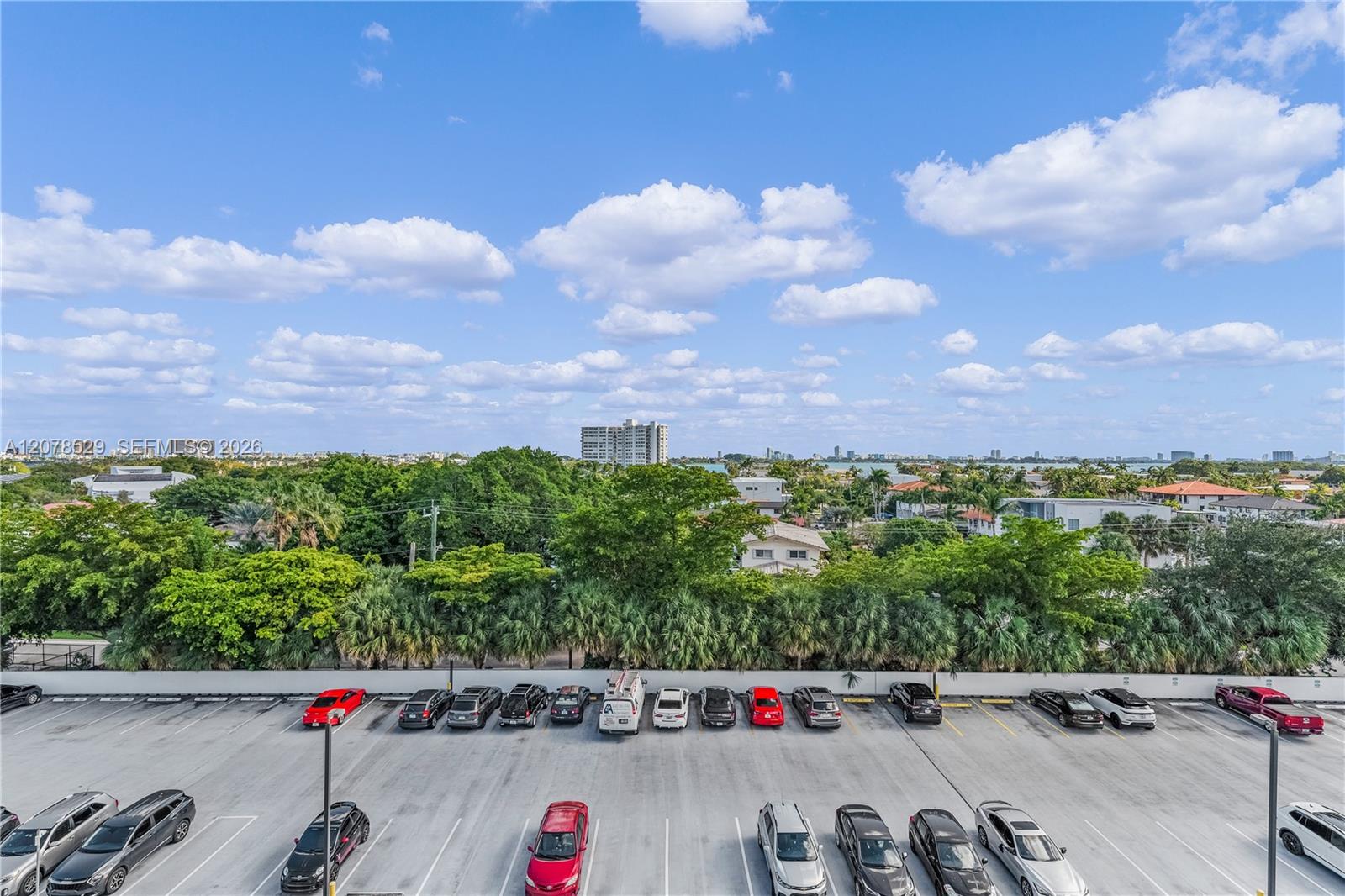 Elevated view over a tree canopy and parking lot toward distant water and the city skyline.