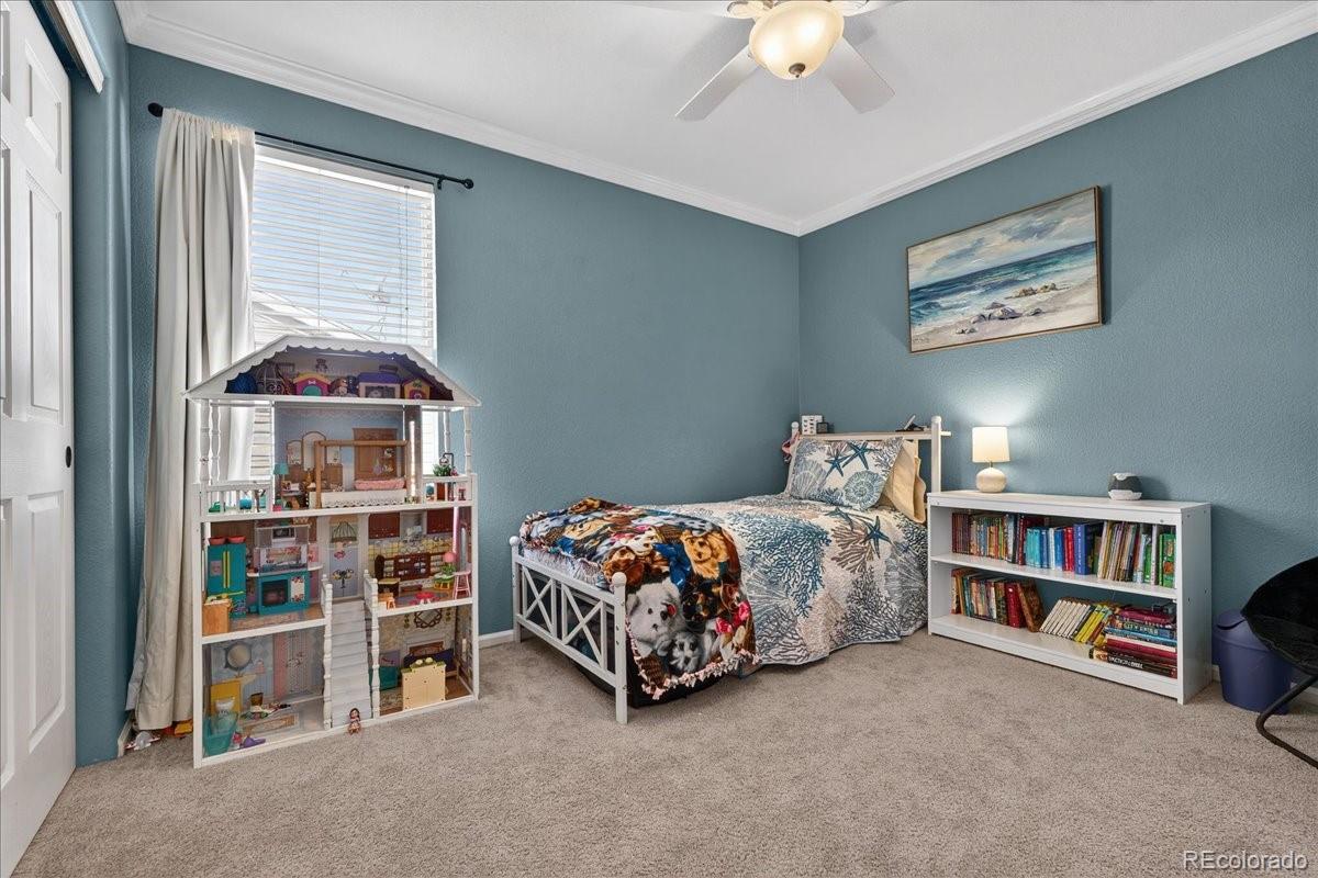 6327 Old Divide Trail